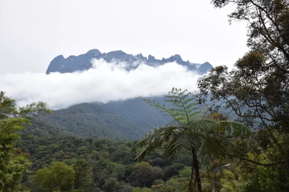 Góra Kinabalu, Sabah, Borneo