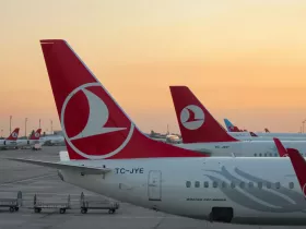 Turkish Airlines w Stambule