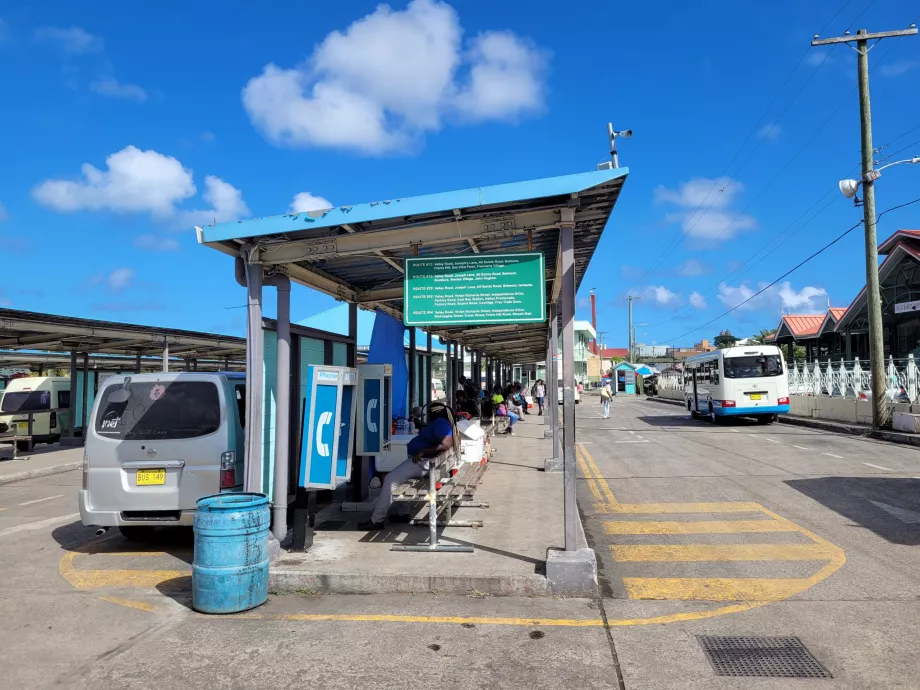 Zachodni dworzec autobusowy, St. John's