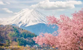 Fuji i sakura