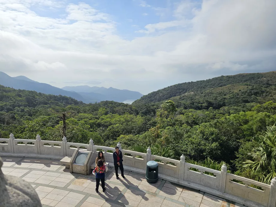 Widok na lasy wyspy Lantau