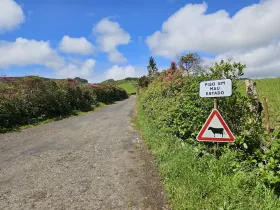 Znaki wzdłuż dróg na wyspie Flores