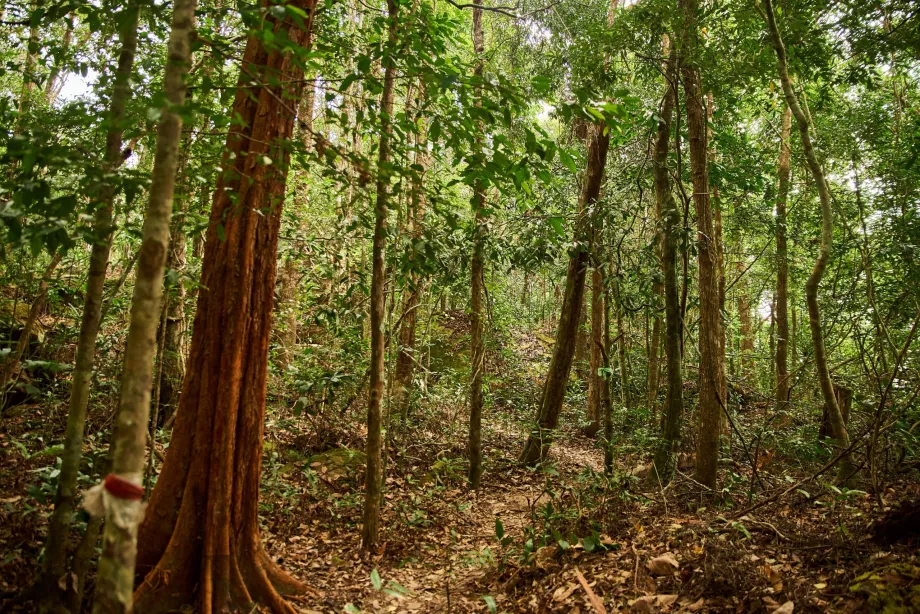 Park narodowy, Phu Quoc, Wietnam