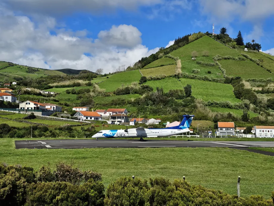 Spotting w Santa Cruz das Flores