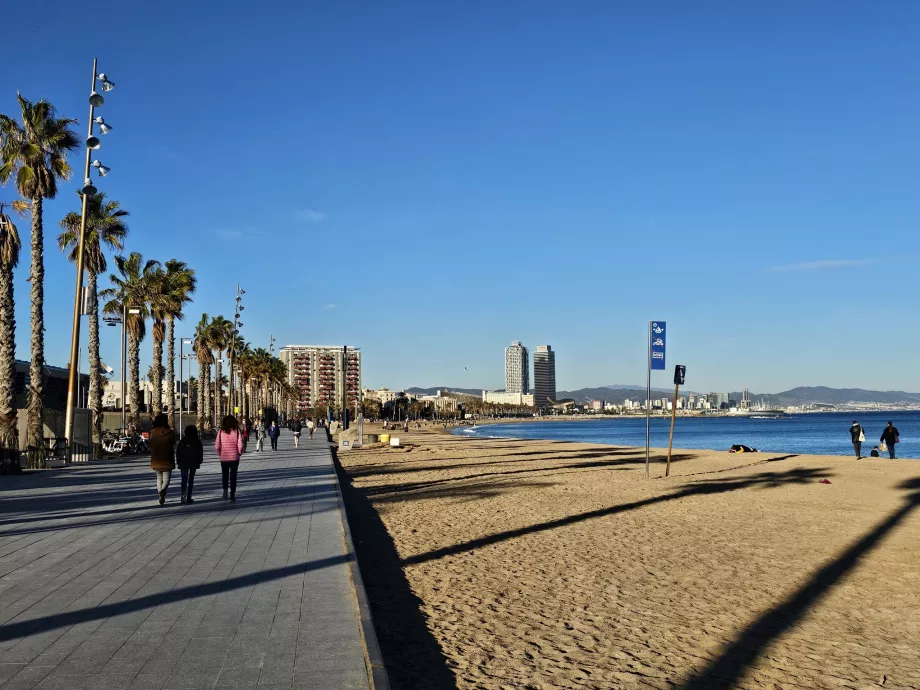 Plaża Barceloneta