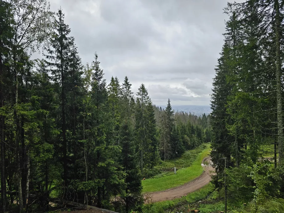 Wędrówki po Holmenkollen