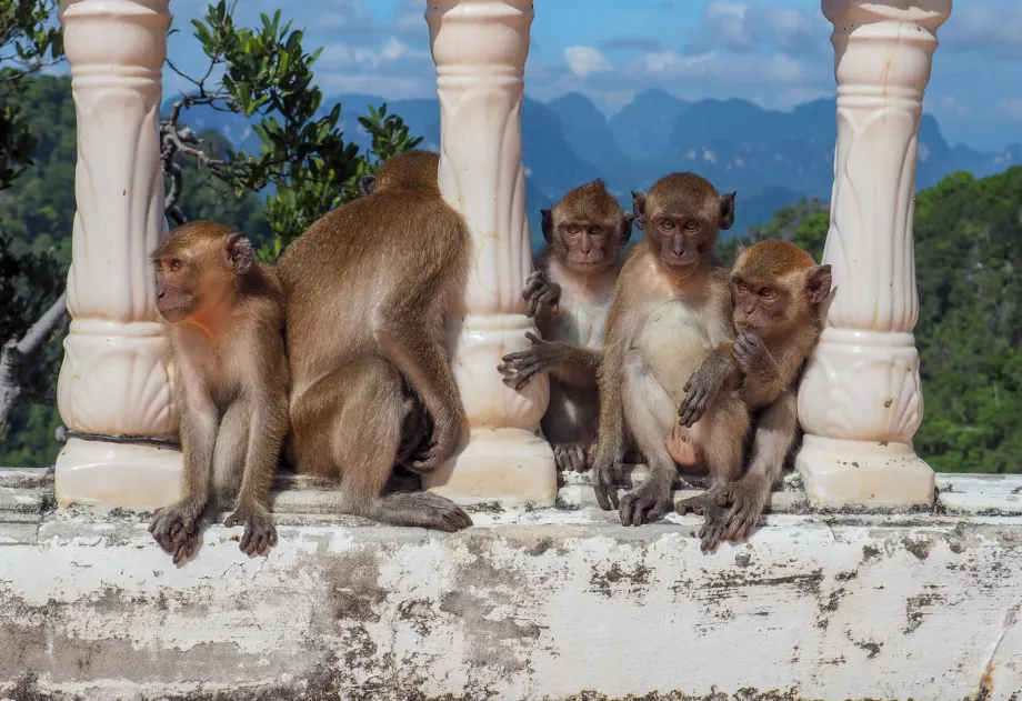 Świątynia Jaskini Tygrysiej, Krabi, Tajlandia