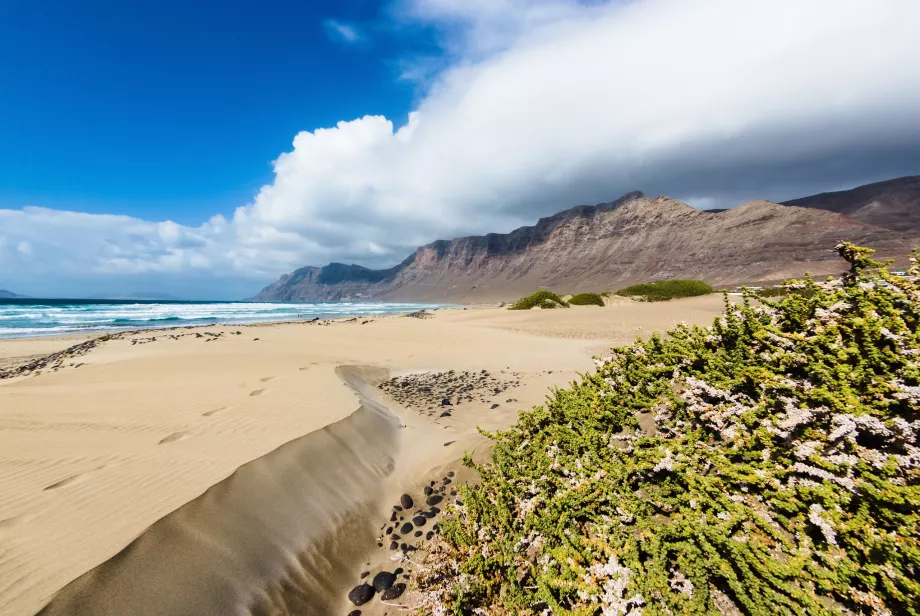 Plaża Famara