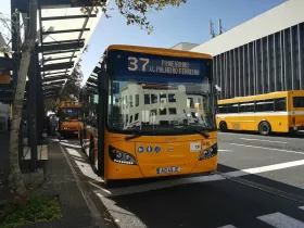 Funchal - autobusy publiczne (miejskie)