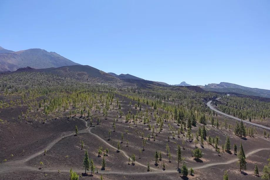 Krajobraz Parku Narodowego Teide