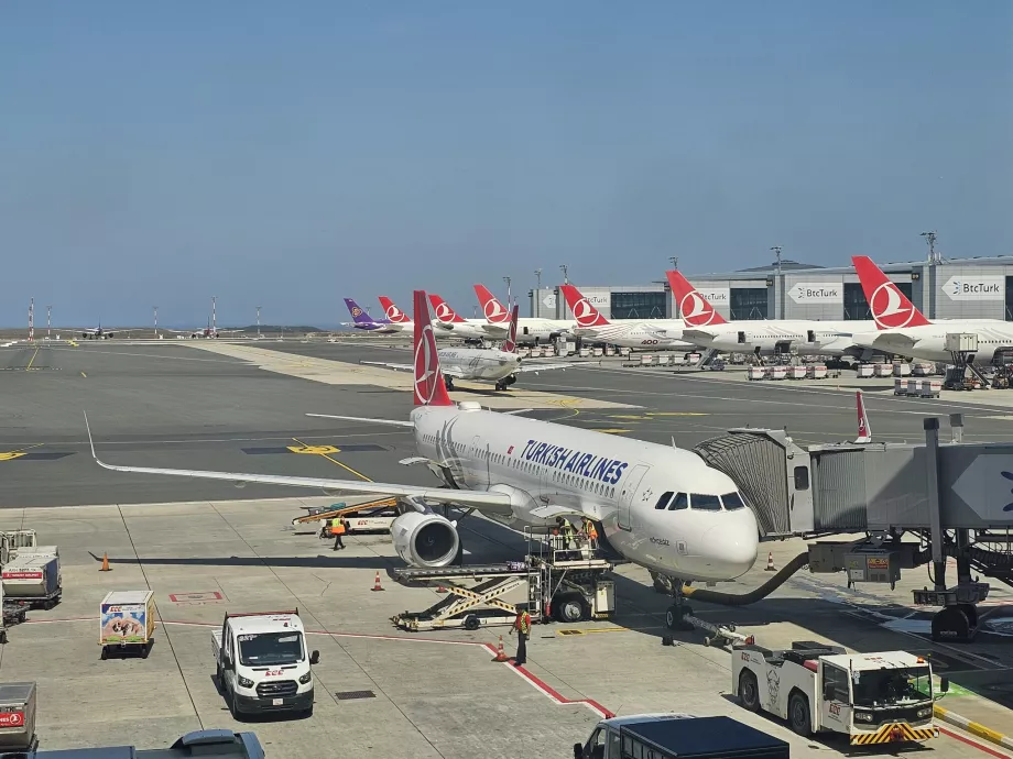 Samolot Turkish Airlines na lotnisku w Stambule