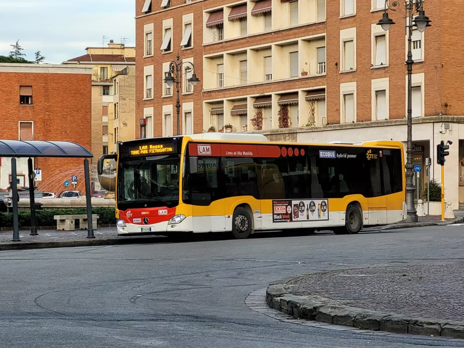 Linie autobusowe LAM Rossa