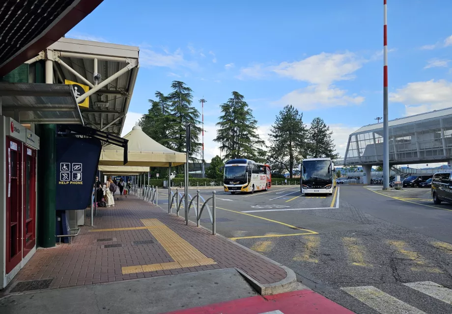 Przystanek autobusów dalekobieżnych, nocnych i linii 54