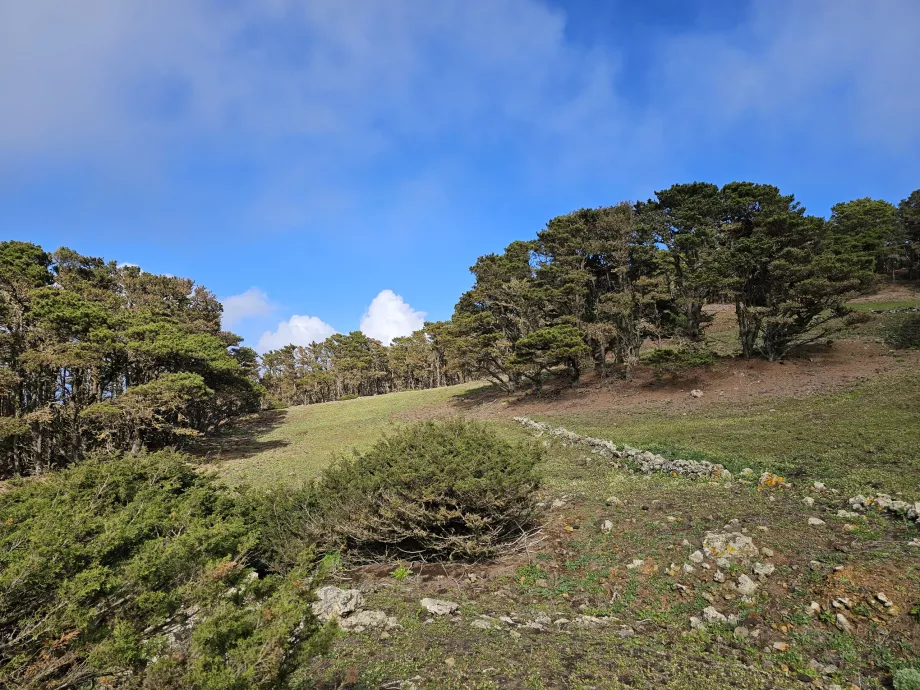 Zachód El Hierro