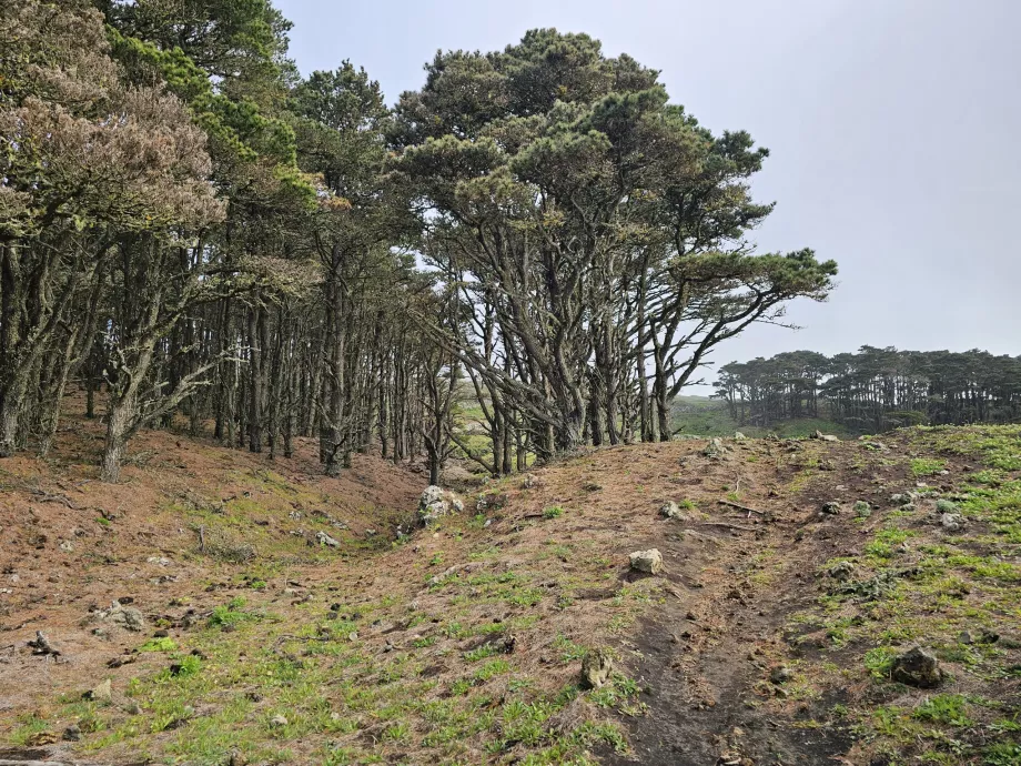 Zachód El Hierro