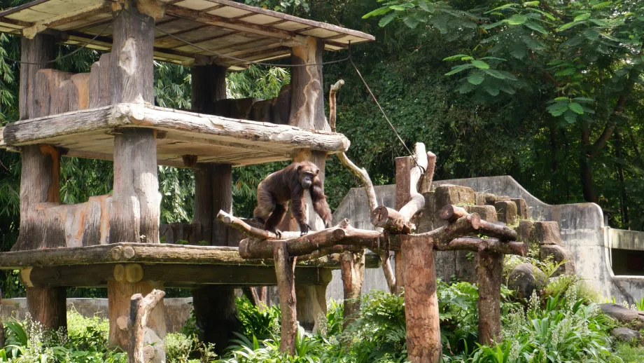 Zoo Gembira Loka