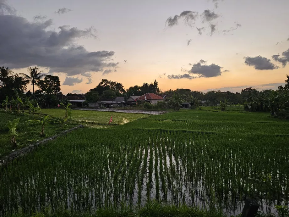 Droga do Ratu Boko