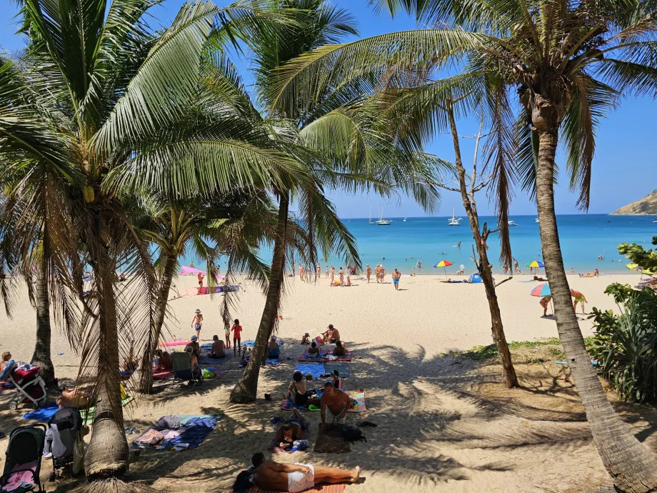 Cień na plaży Nai Harn