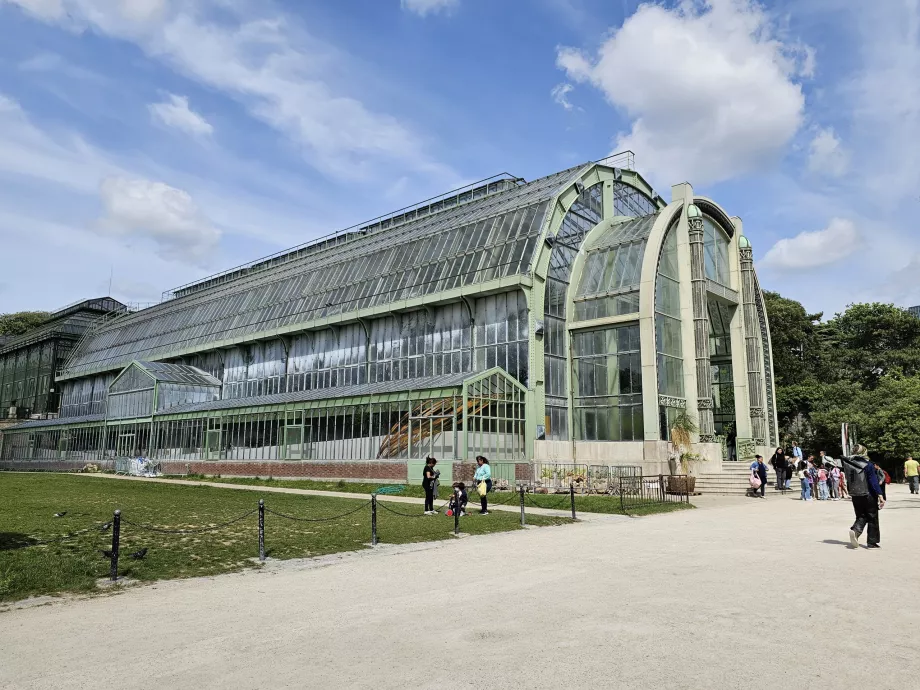 Szklarnia w Jardin des Plantes