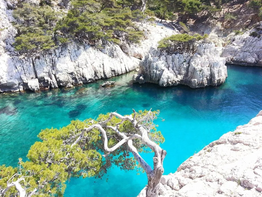 Zatoka w Calanques