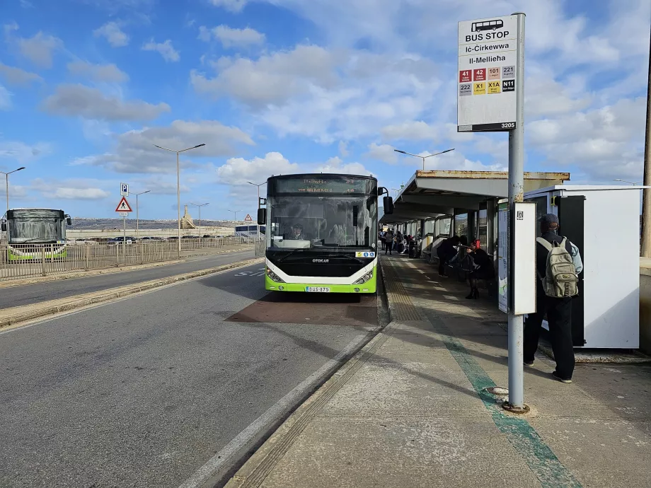 Przystanki autobusowe w doku Cirkewwa