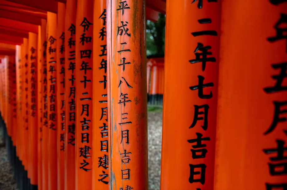 Szczegół bramy torii