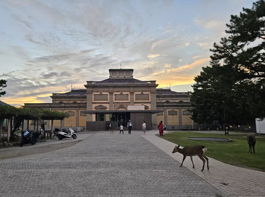 Muzeum Narodowe Nara