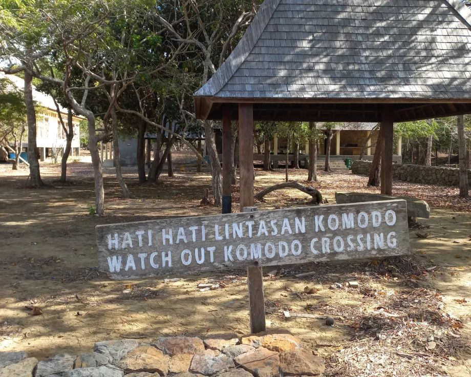 Uwaga, wyspy Varanus Komodo, Indonezja