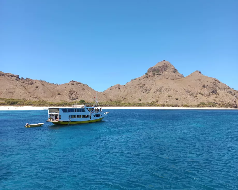 Wyspa Rinca, Wyspy Komodo, Indonezja