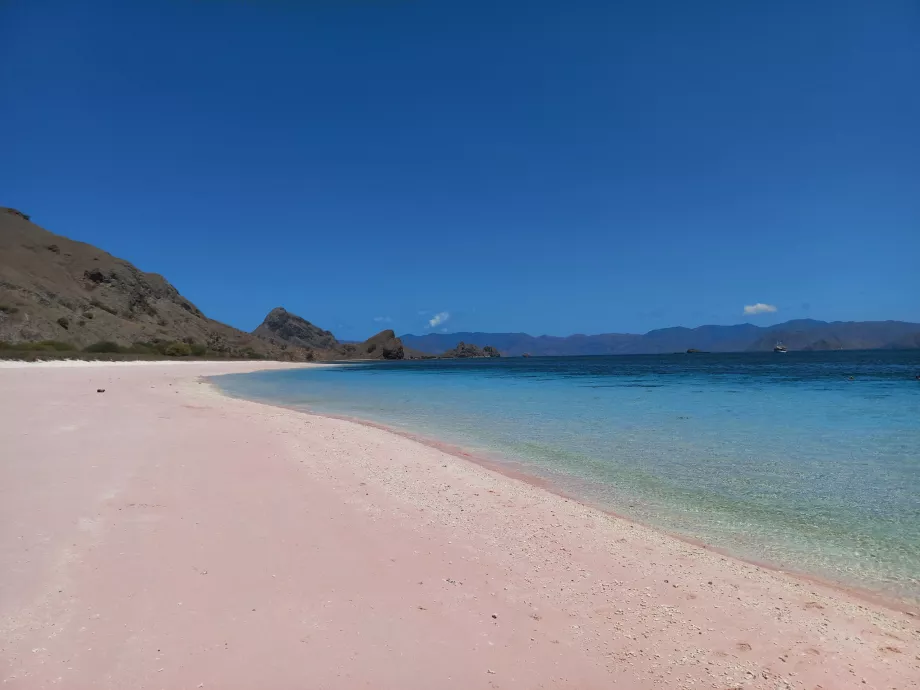 Różowa plaża, Wyspy Komodo, Indonezja