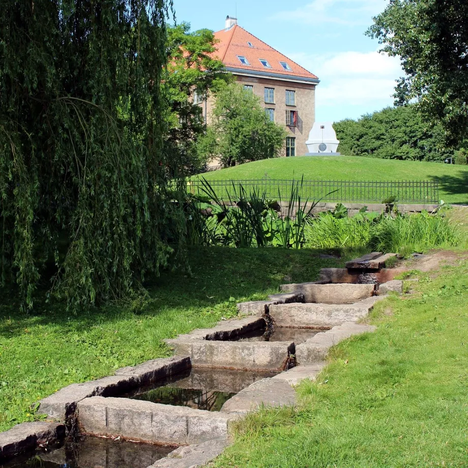 Ogród botaniczny