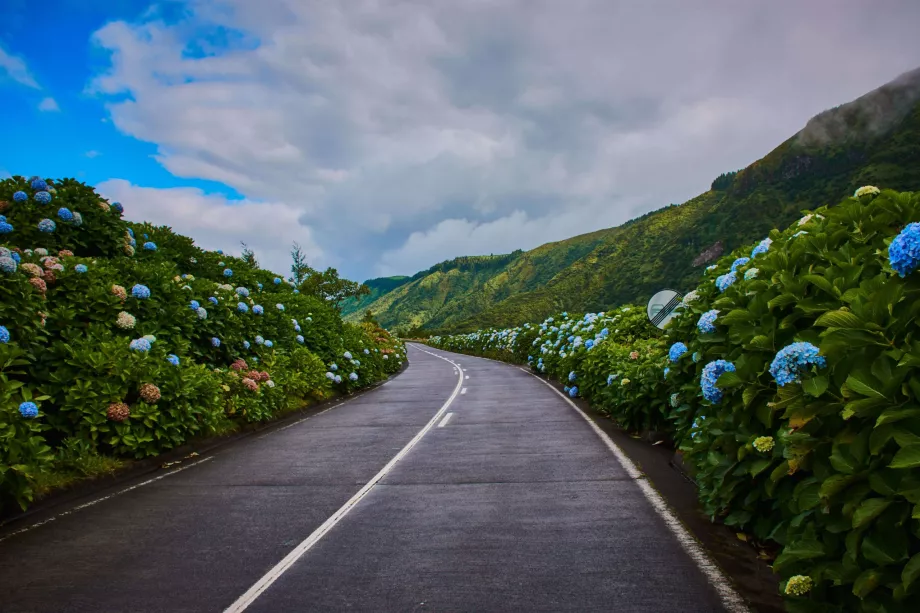 Droga Sao Miguel