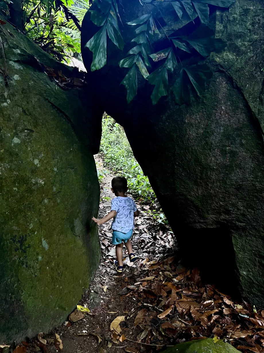 Wędrówka Paya-Genting, Tioman