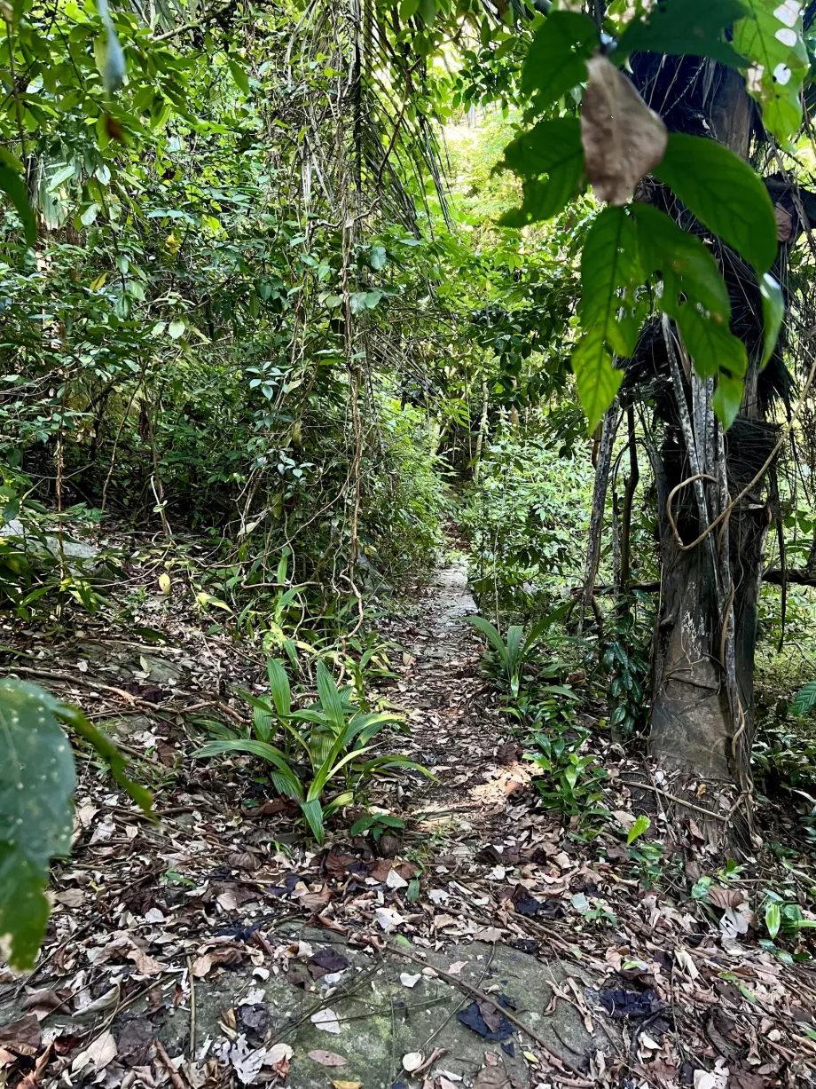 Paya trek do Genting, Tioman